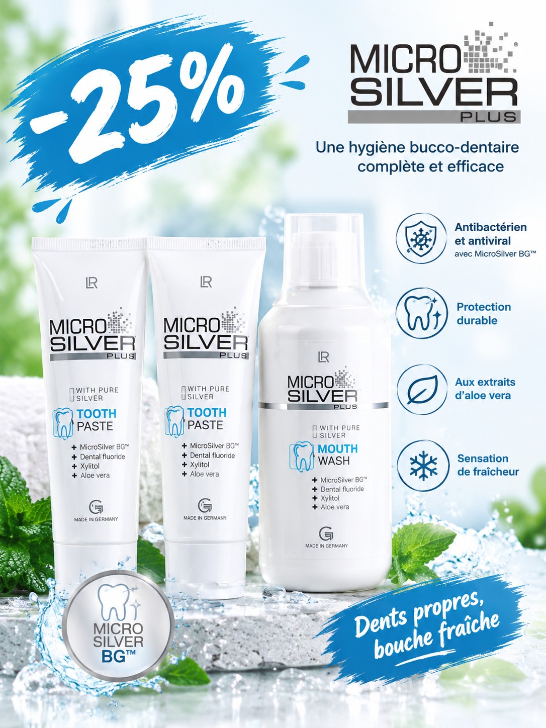 Set Dentaire Microsilver