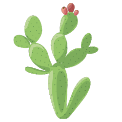 Nopal
