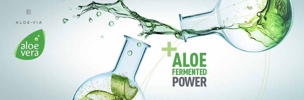 aloe fermenté