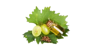 Image Huile de Pépins de Raisin