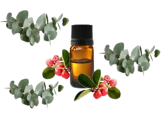 Image Huiles Essentielles