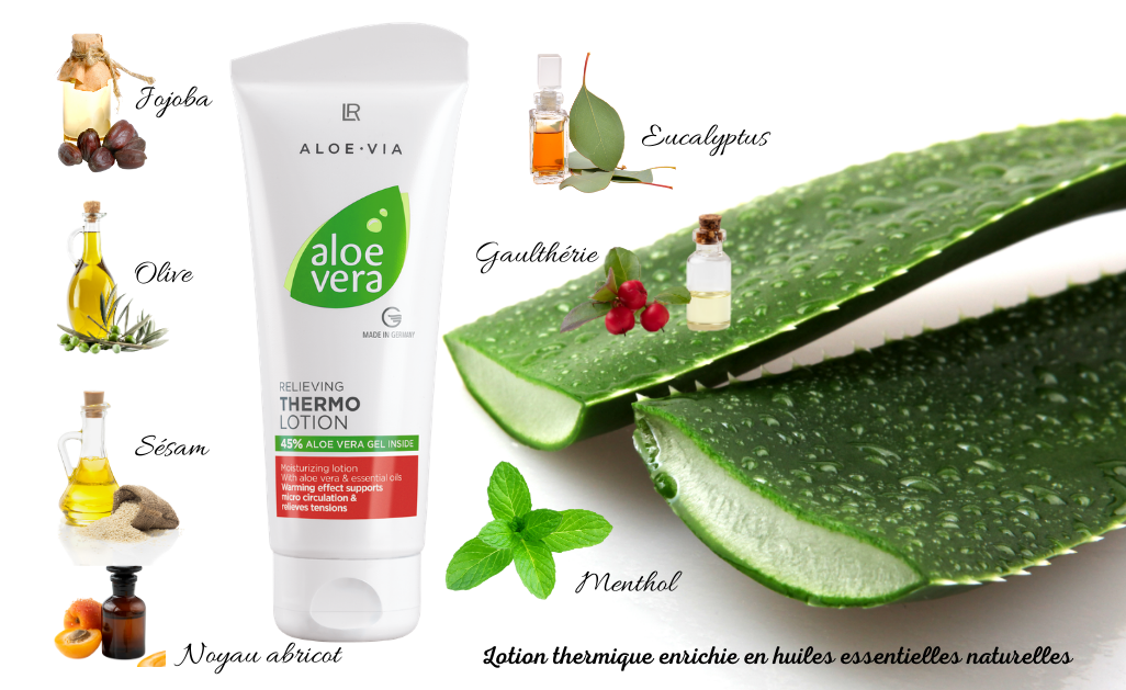 Thermolotion Aloe Vera LR